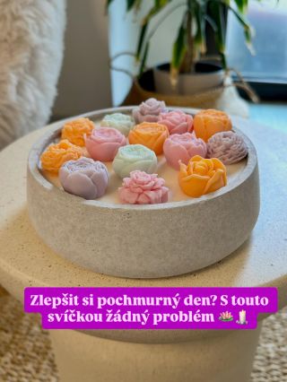 Ti co zaspali, mají dýně a ti co milují Vánoce už mají všude vločky a sobíky. Mně se stýská po létu 🥰 …dnešní tvorba v...